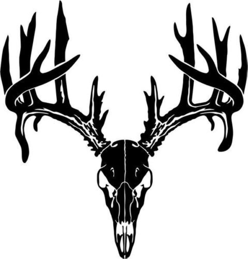 Deer Buck Skull Antlers Hunter Hunting Sportsman Car Truck Windows Decal Sticker - Die cut vinyl decal for windows, cars, trucks, tool boxes, laptops, MacBook - virtually any hard, smooth surface